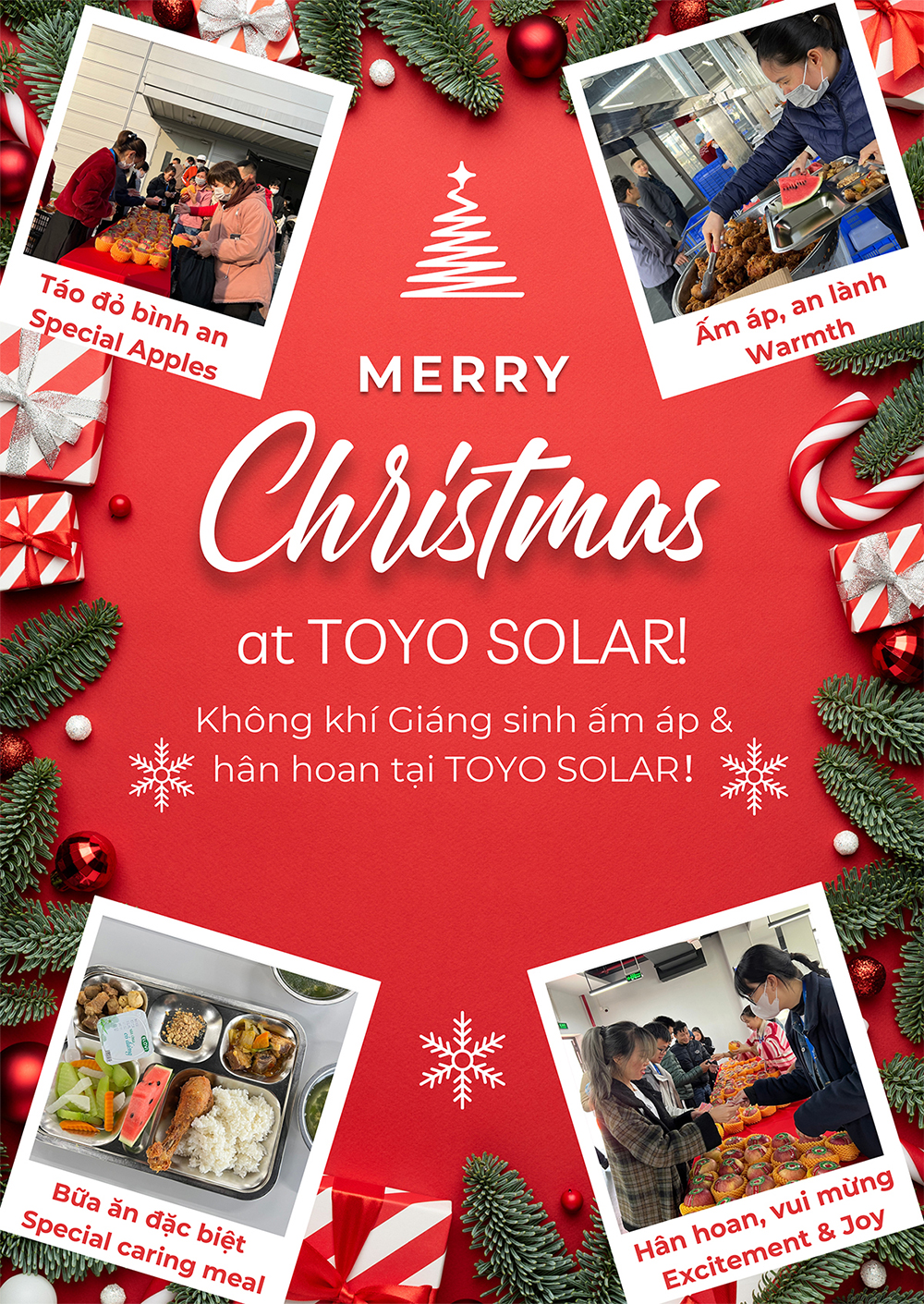 Merry Christas at toyo solar(图1)